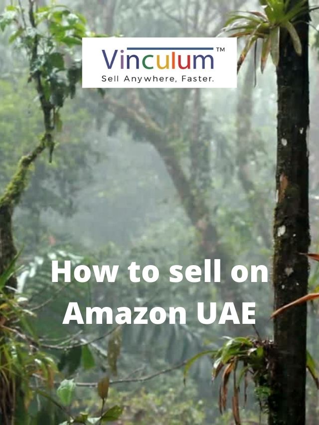 How to sell on Amazon UAE?